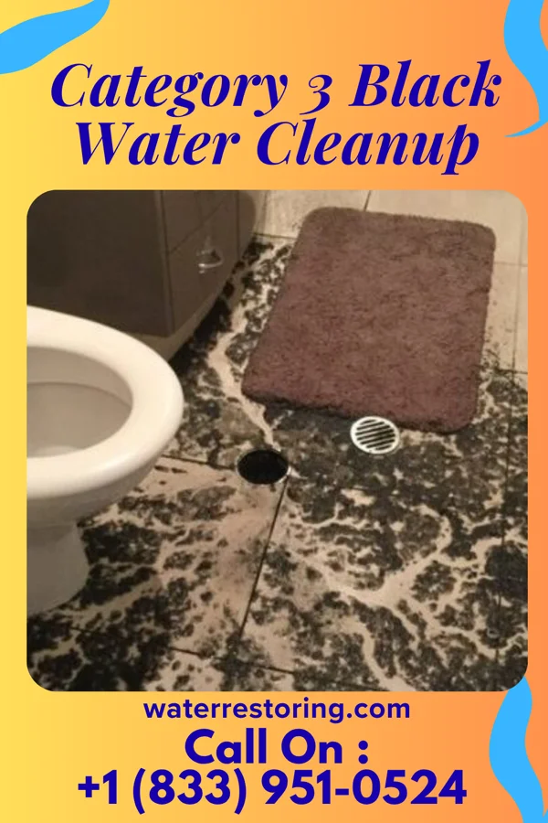 Category 3 Black Water Cleanup in Schubert, PA