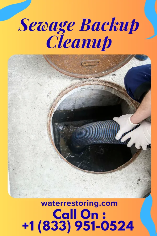 Sewage Backup Cleanup in Schubert, PA