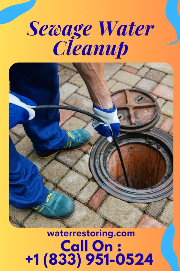 Sewage Water Cleanup in Schubert, PA